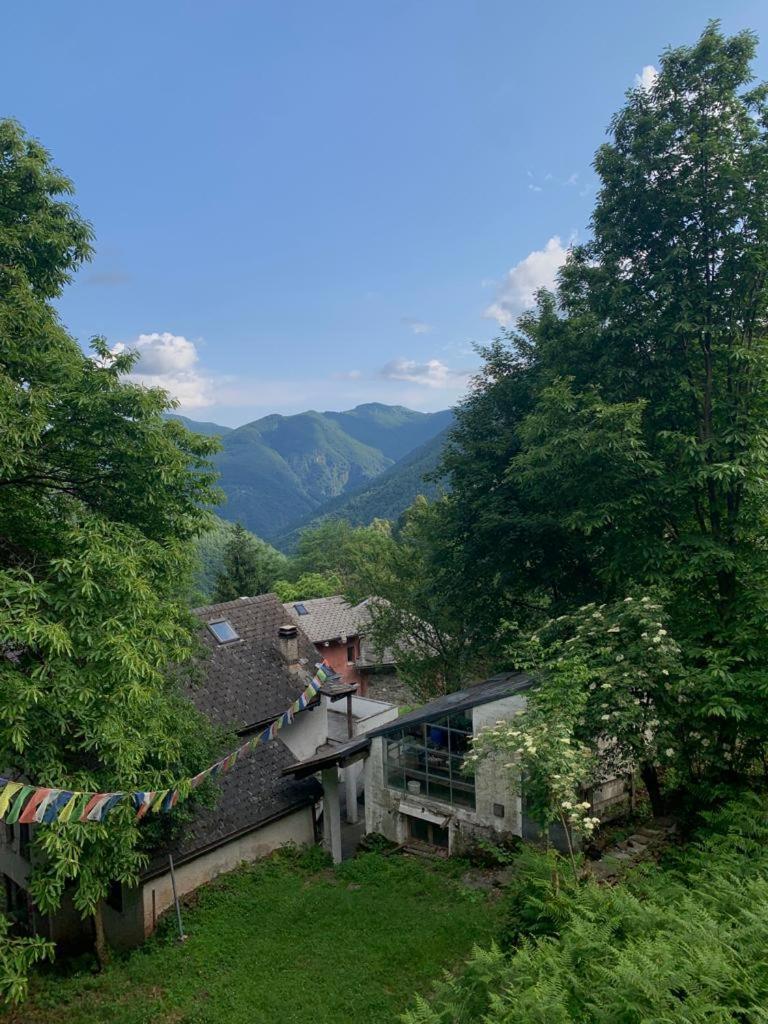 Secret Mountain Retreat Valle Cannobina Orasso Екстериор снимка